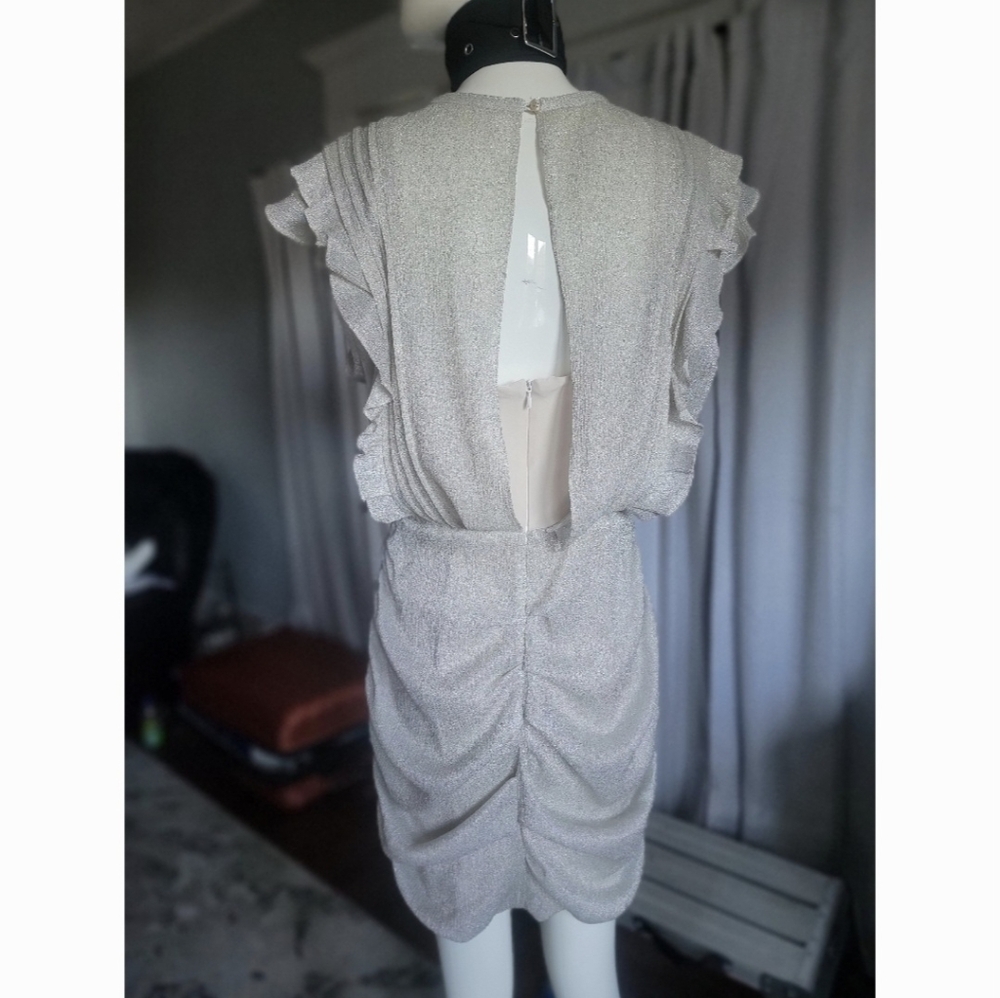 Chic Silver Ruffled Mini Dress - Picture 2 of 13
